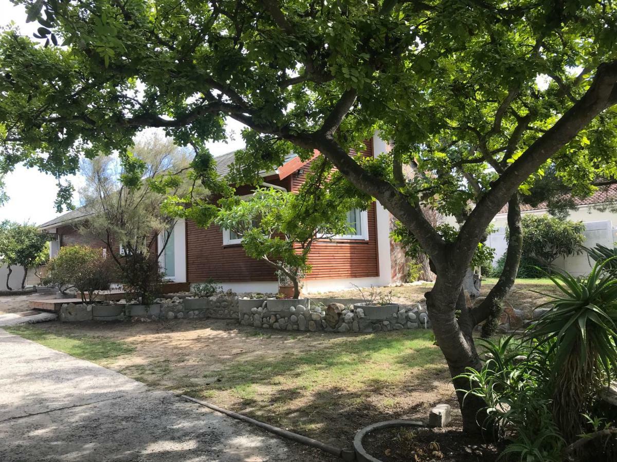 African Holiday Home In Table View Kaapstad Buitenkant foto